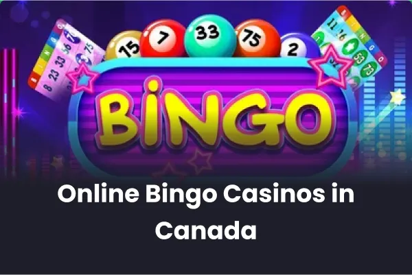 Bingo Casino Online Bingo Casino Online