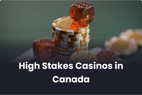 High stakes online casinos High stakes online casinos
